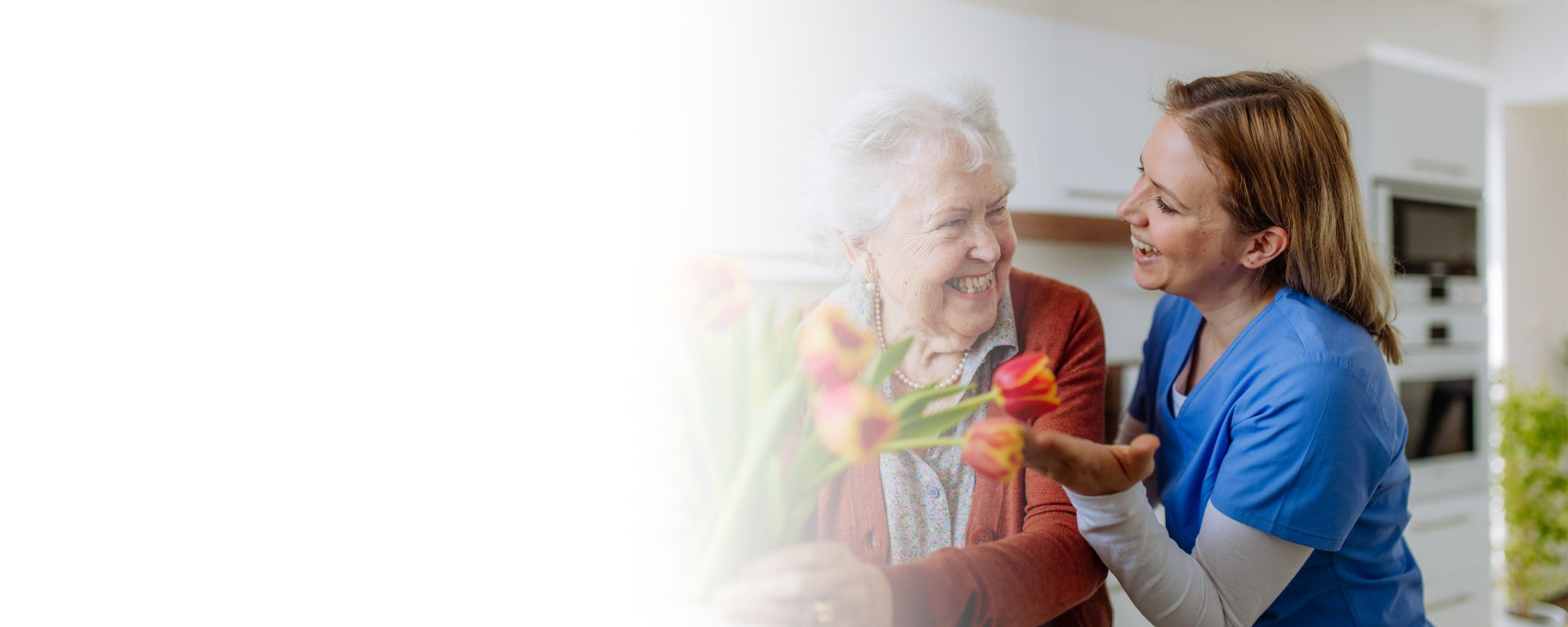 senior home care in Moundsville